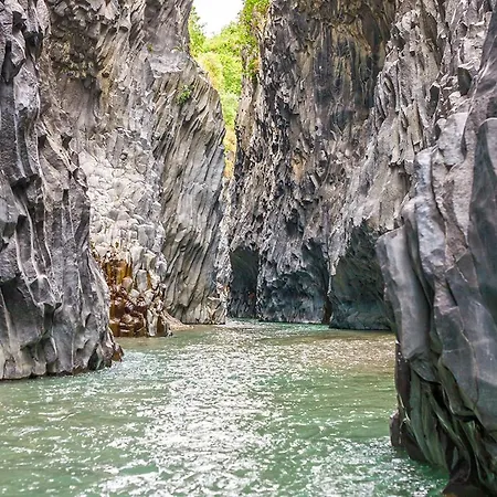 Апартаменты Pippo House