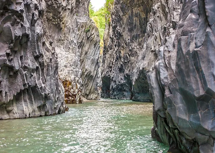 Apartment Pippo House